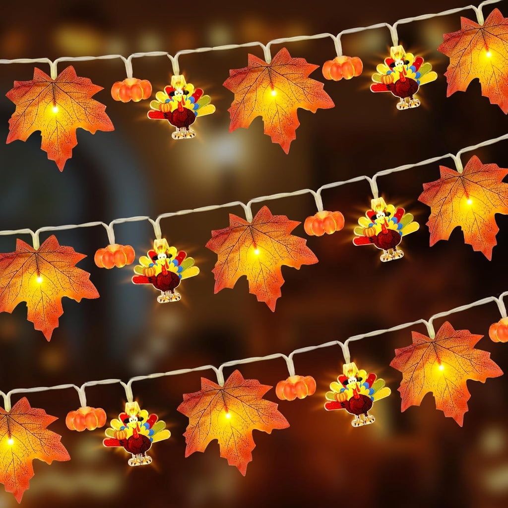 Mosoan [Timer] Fall Thanksgiving Turkey Lights Decorations, 10FT 30LED Large Turkey Pumpkin Maple Leaf String Lights, Battery Operated Fall Lights Decor Thanksgiving Decorations Indoor Home Party