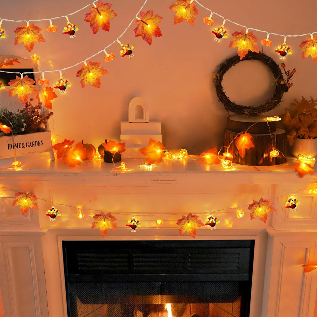 Mosoan [Timer] Fall Thanksgiving Turkey Lights Decorations, 10FT 30LED Large Turkey Pumpkin Maple Leaf String Lights, Battery Operated Fall Lights Decor Thanksgiving Decorations Indoor Home Party