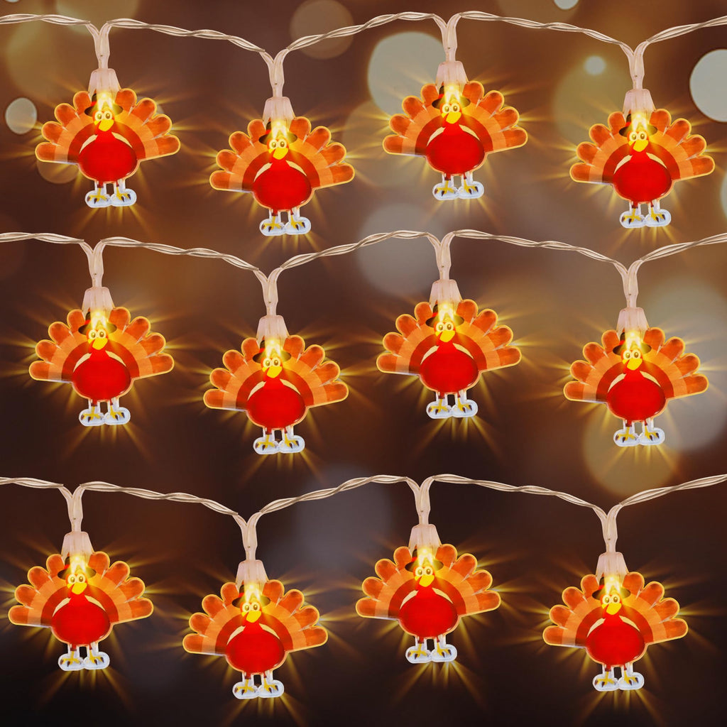 Mosoan [Timer] Fall Thanksgiving Turkey Lights Decorations, 10FT 30LED Large Turkey Pumpkin Maple Leaf String Lights, Battery Operated Fall Lights Decor Thanksgiving Decorations Indoor Home Party