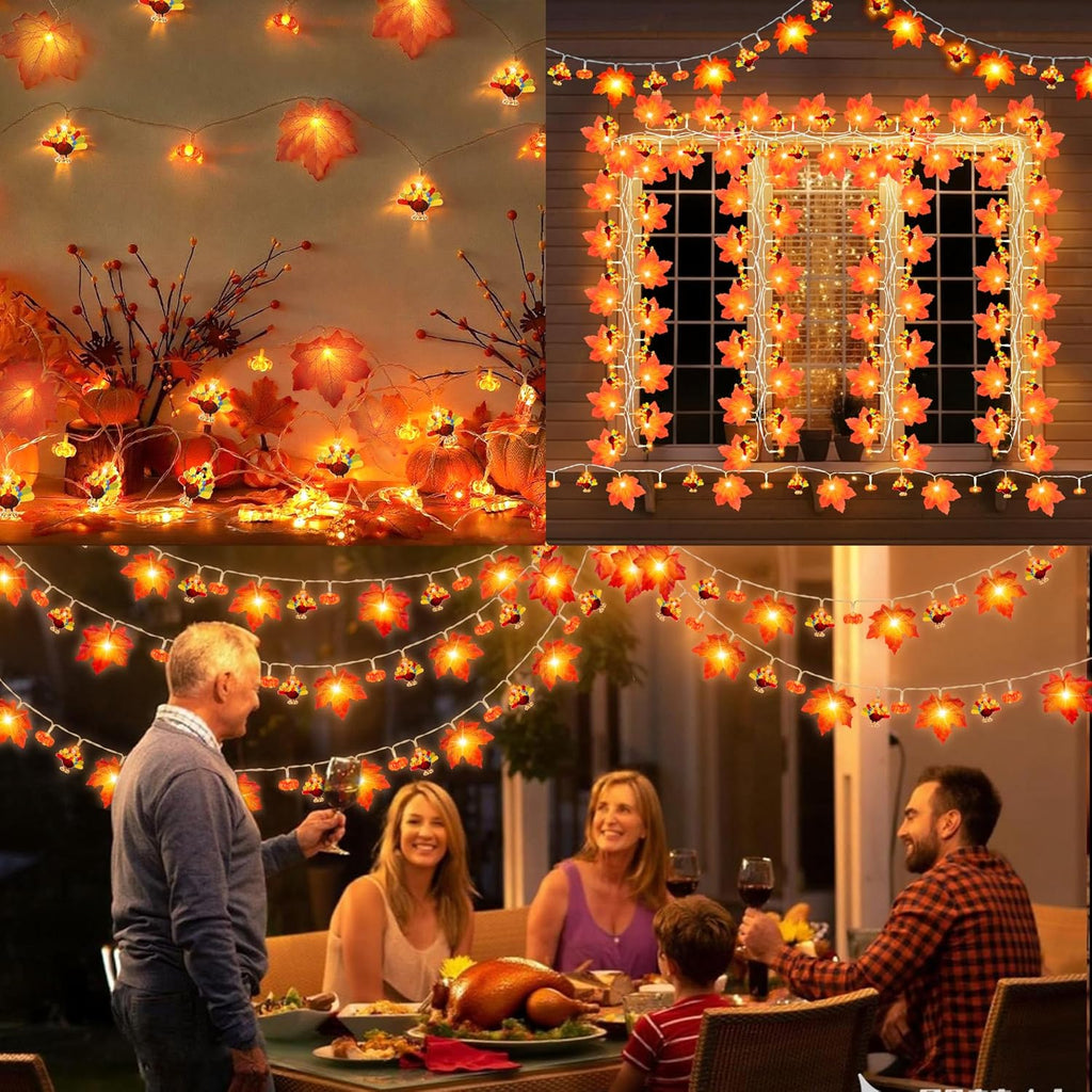 Mosoan [Timer] Fall Thanksgiving Turkey Lights Decorations, 10FT 30LED Large Turkey Pumpkin Maple Leaf String Lights, Battery Operated Fall Lights Decor Thanksgiving Decorations Indoor Home Party